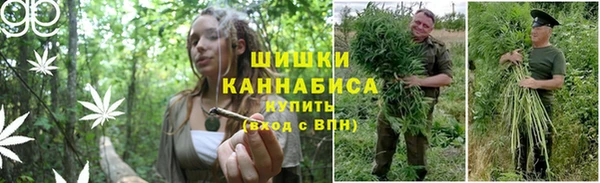 эйфоретик Белокуриха