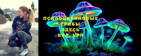 эйфоретик Белокуриха