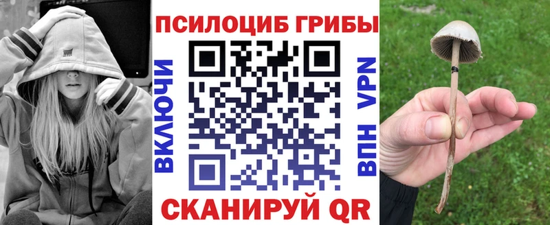 Псилоцибиновые грибы мухоморы  купить наркоту  Верхотурье 